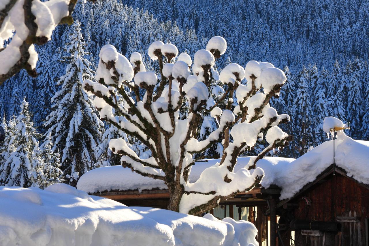 Appartamenti Rì de Clama Andalo Esterno foto